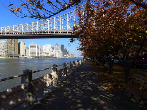 NYC_2012-11-17 12-11-27_P1070125